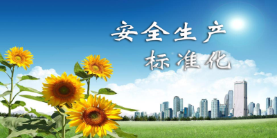 什么是安全生產(chǎn)標準化？